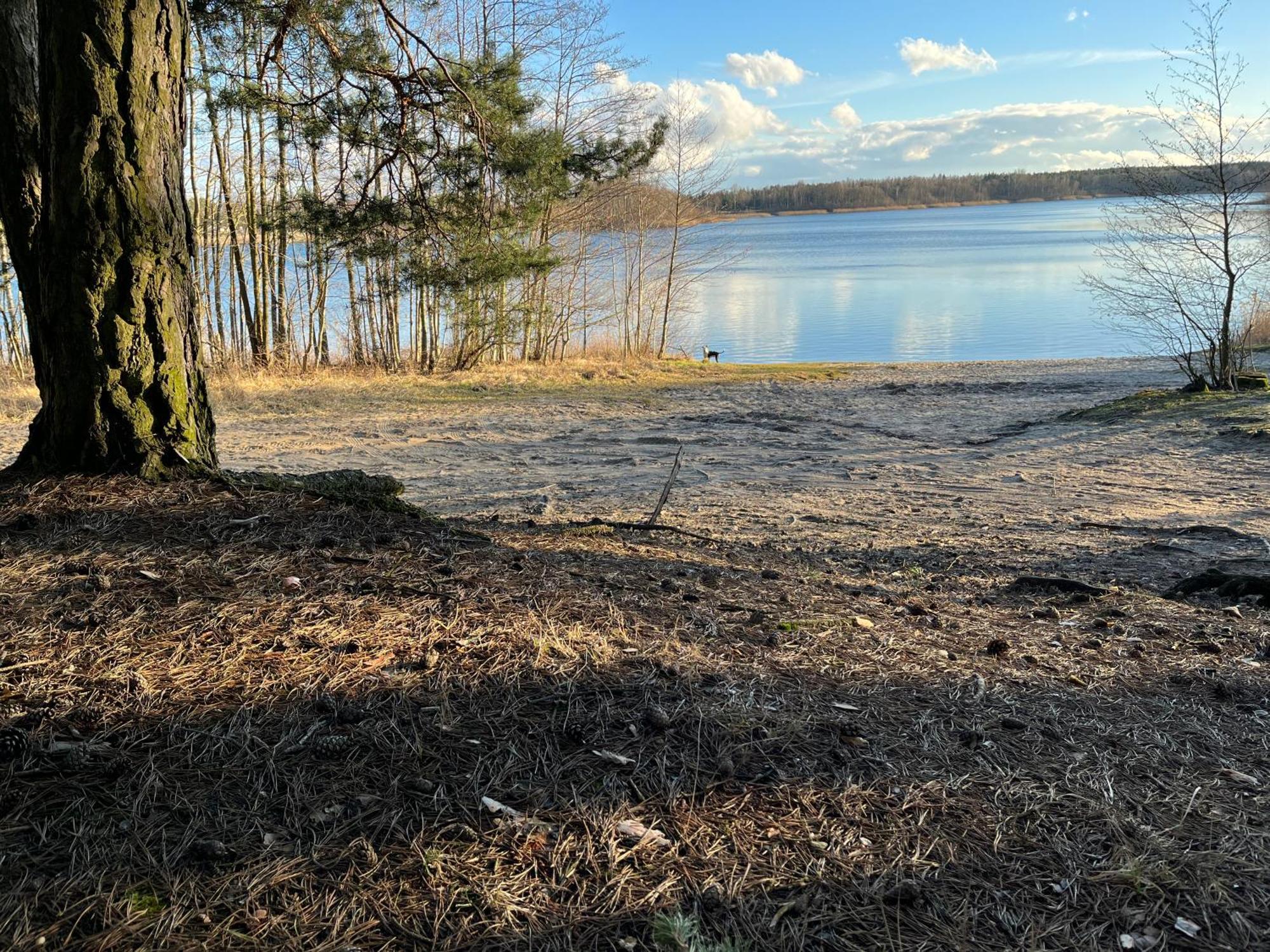 Appartamento Wielkopolska Szydlowiec Orchowo
