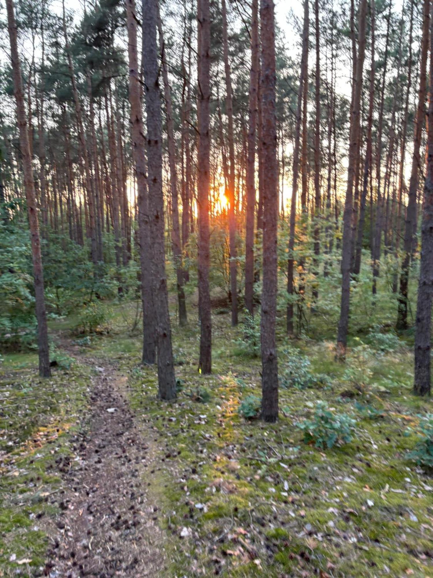 Wielkopolska Szydlowiec *